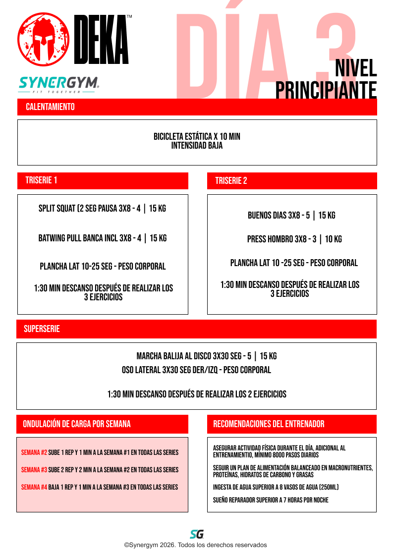 Día 3